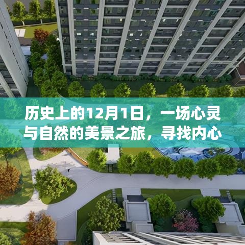 自作主张 第3页