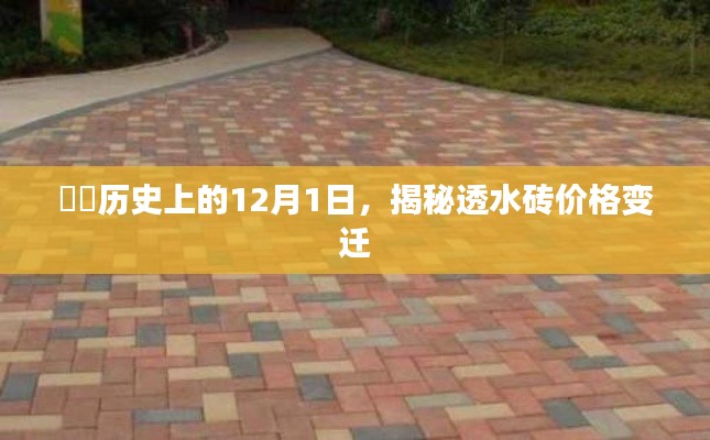 穷鸟入怀 第4页
