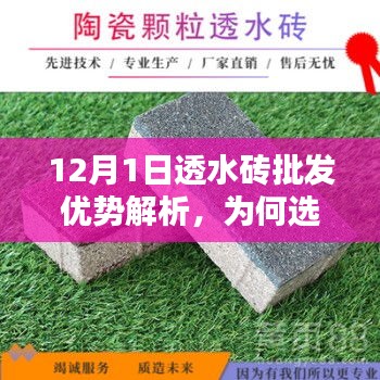 天生丽质 第4页