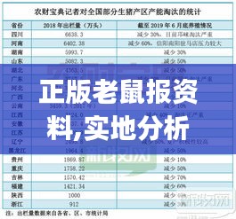 正版老鼠报资料,实地分析数据计划_视频版95.275-9