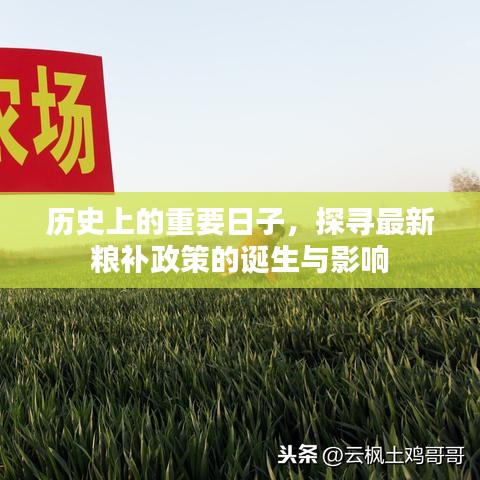 为民请命 第4页