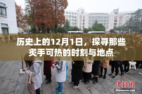 不飞则已 第3页