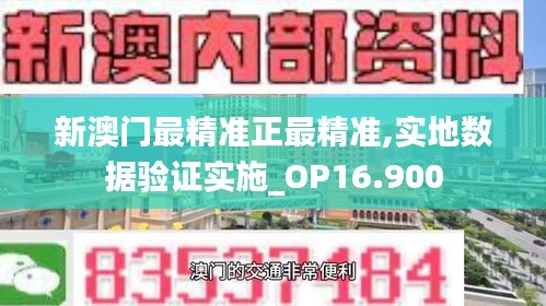 新澳门最精准正最精准,实地数据验证实施_OP16.900