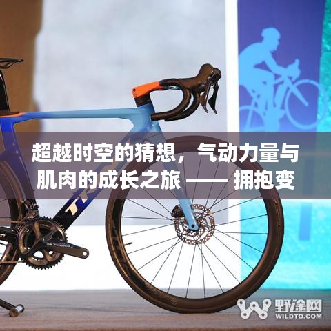 关于我们 第476页