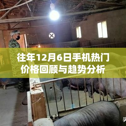 废寝忘食 第3页