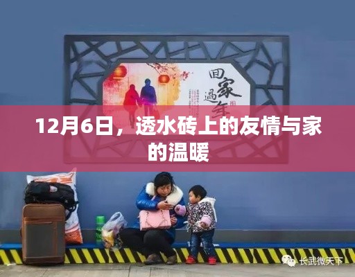 鸟语花香 第3页
