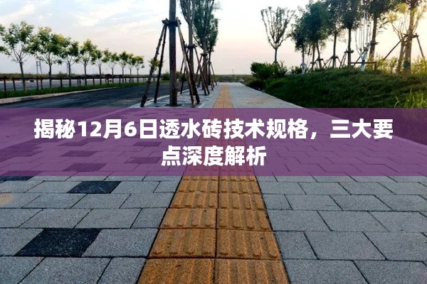 真独简贵 第3页