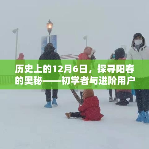 产品中心 第425页