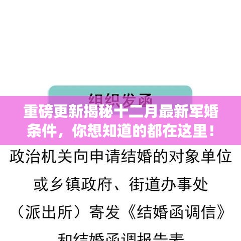 聚精会神 第3页