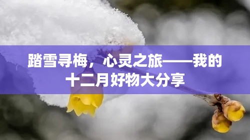 走马观花 第3页