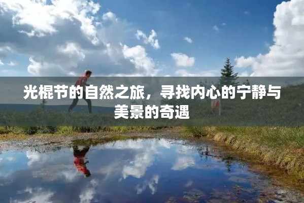 候鸟南飞 第3页