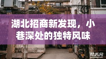 湖北招商新发现，小巷深处的独特风味美食秘境揭秘！