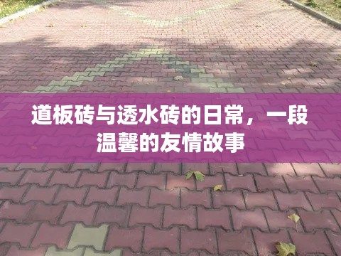 百年不遇 第3页