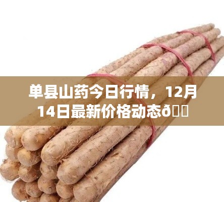 贵阴贱璧 第3页
