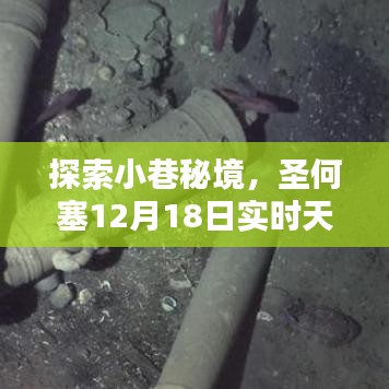 攀高结贵 第3页