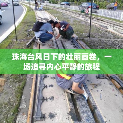 天生丽质 第3页