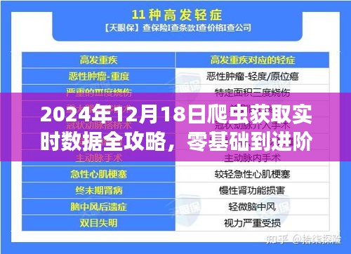 2024年实时数据爬虫获取全攻略,零基础到进阶操作指南