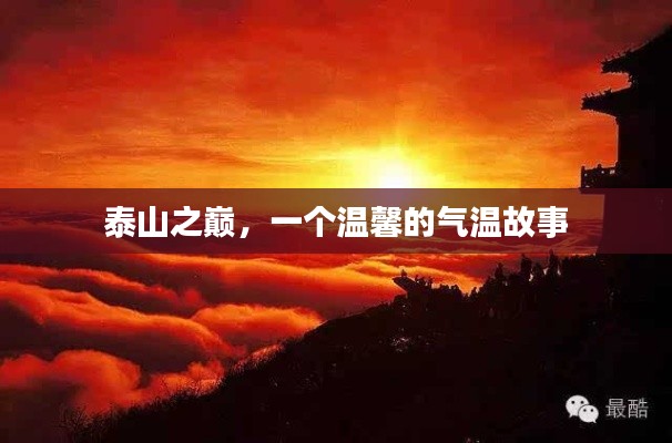 兵贵神速 第2页