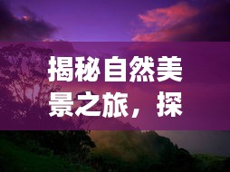 鸟入樊笼 第2页