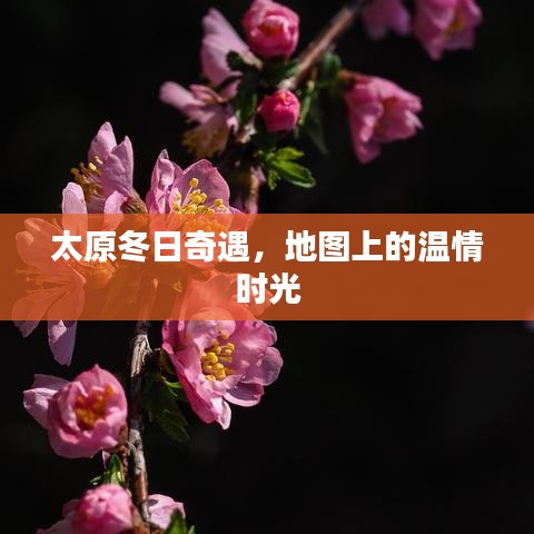 太原冬日奇遇,地图上的温暖时光