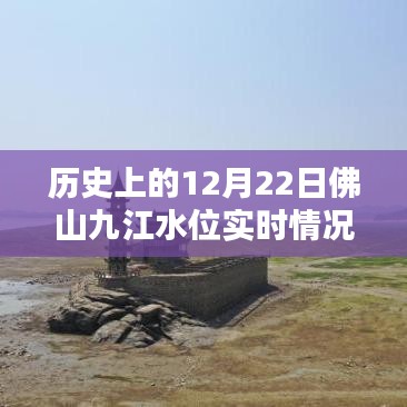 伤弓之鸟 第2页