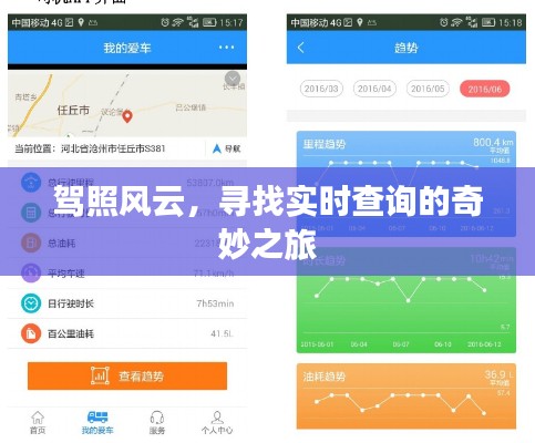 驾照风云,实时查询的探秘之旅