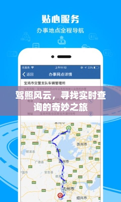 驾照风云,实时查询的探秘之旅