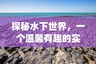 仪表堂堂 第2页