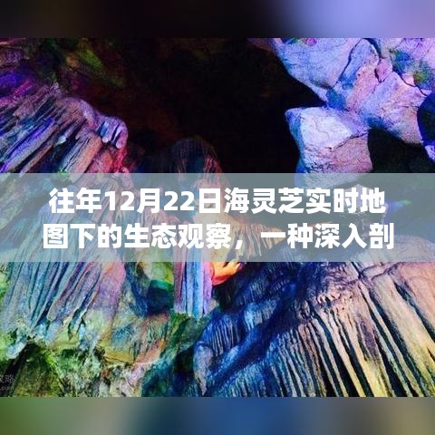 容光焕发 第2页