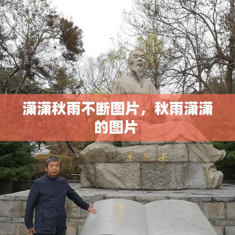 潇潇秋雨不断图片，秋雨潇潇的图片 