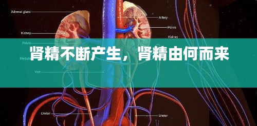 朴素无华 第2页