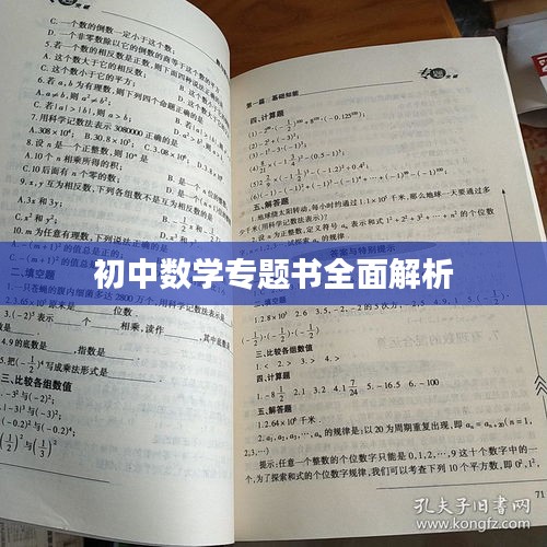 初中数学专题书全面解析