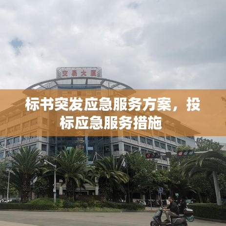 标书突发应急服务方案，投标应急服务措施 