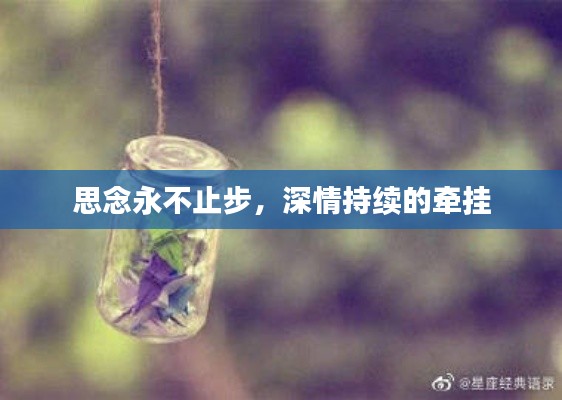 思念永不止步,深情持续的牵挂