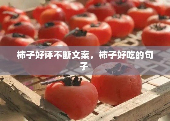江南烟雨断桥殇 第2页