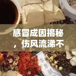不期而遇 第2页
