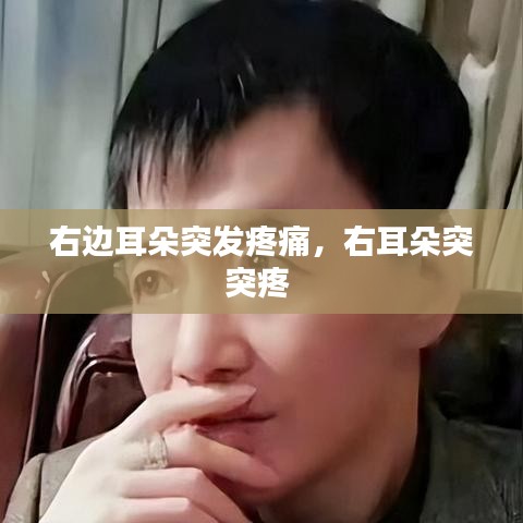 鸟穷则啄 第2页