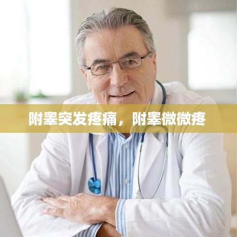 张弓挟矢 第2页