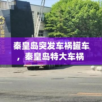 橘虞初梦 第2页
