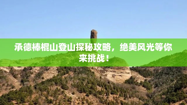 踊贵屦贱 第2页