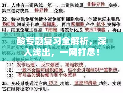 凤鸟不至 第2页