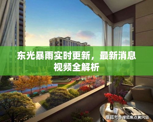 东光暴雨实时更新,最新消息视频全解析