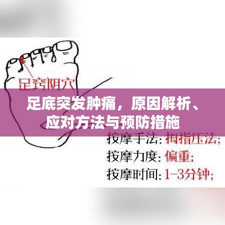 新澳中心 第179页