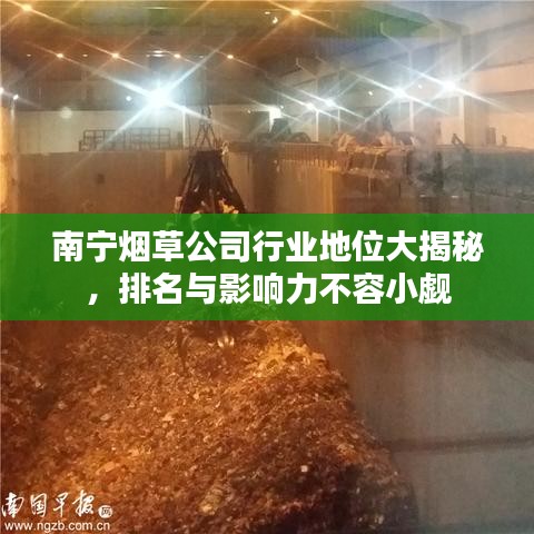南宁烟草公司行业地位大揭秘,排名与影响力不容小觑
