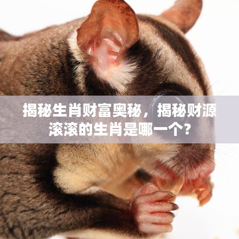 片口张舌 第2页