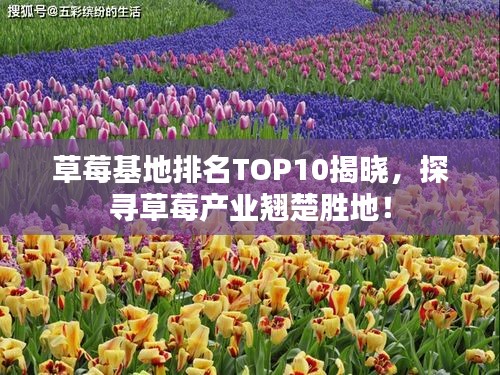 草莓基地排名TOP10揭晓，探寻草莓产业翘楚胜地！