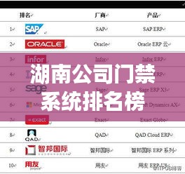 湖南公司门禁系统排名榜单揭晓!