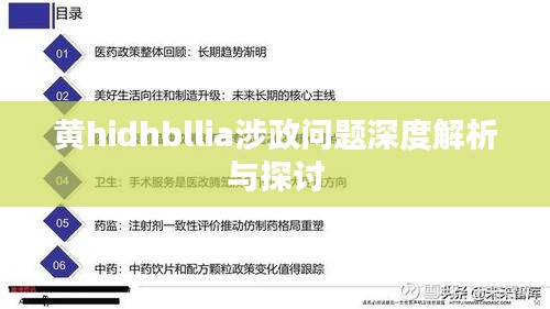 黄hidhbllia涉政问题深度解析与探讨