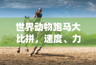 双瞳剪水 第2页