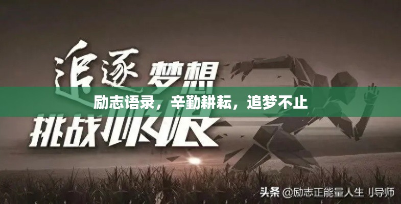 励志语录,辛勤耕耘,追梦不止